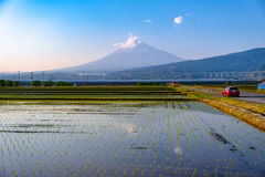 夏富士へと･･･