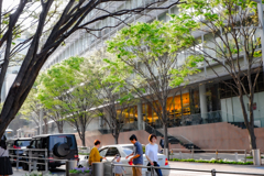 午後のひととき