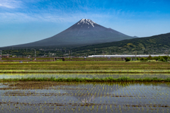 水田逆さ富士