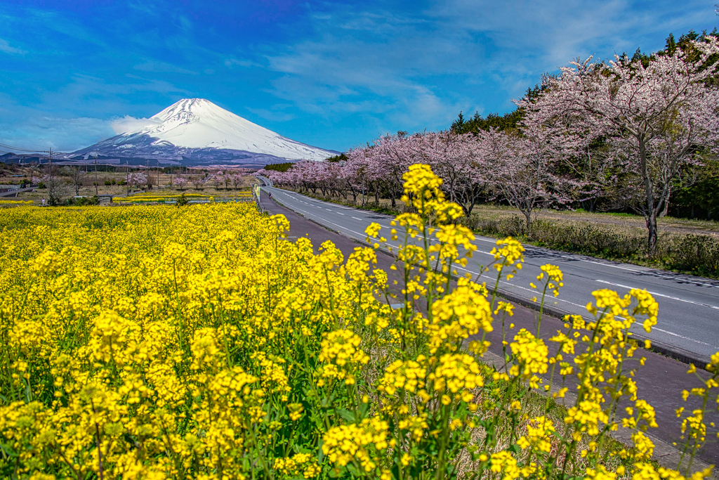 Susono panorama road