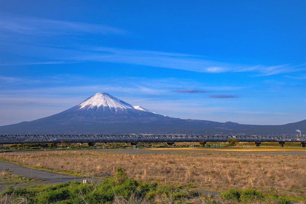 春の富士川河川敷