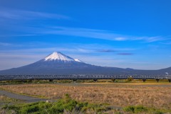 春の富士川河川敷