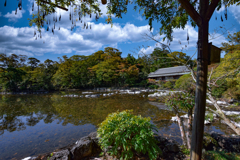 三島楽寿園の庭