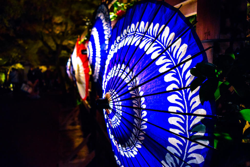 Summer night fes