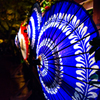 Summer night fes