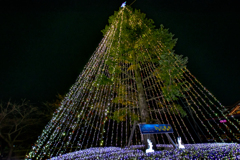 ひかりのすみか