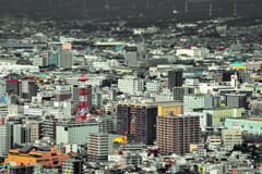 沼津市街中心地