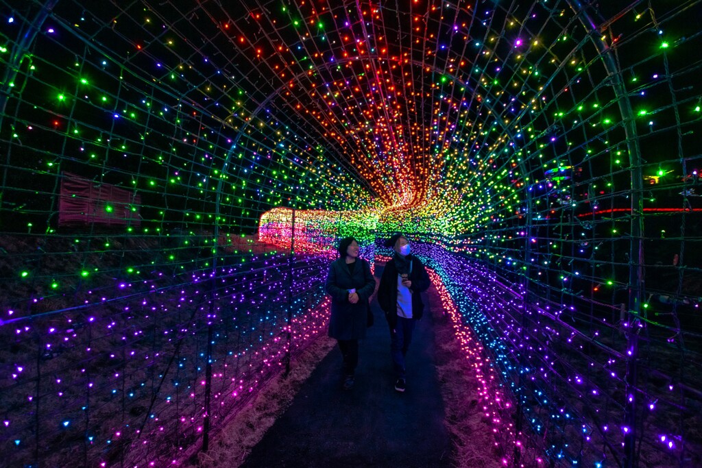 Corridor of light