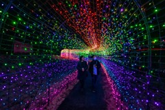 Corridor of light