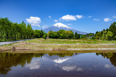 刹那の情景
