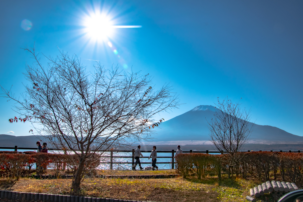 ポカポカ日和