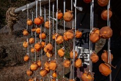 干し柿の季節