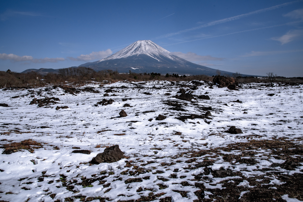 雪の高原