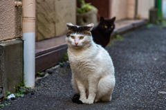 姿勢正しく