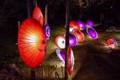 Japanese umbrellas