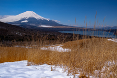 雪融け陽気