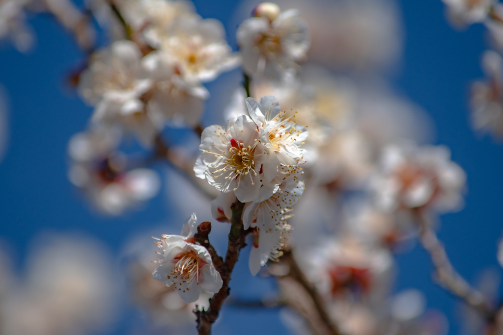 Winter into spring