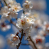 Winter into spring