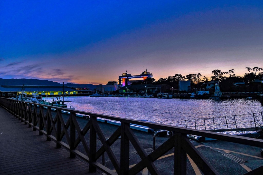 沼津港