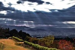 天空のシャワー