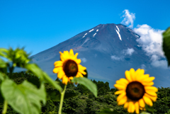 Summer time Fuji