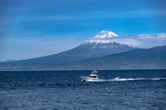 駿河湾の景観