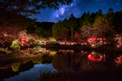 ミステリーナイト 