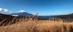 ススキの峠