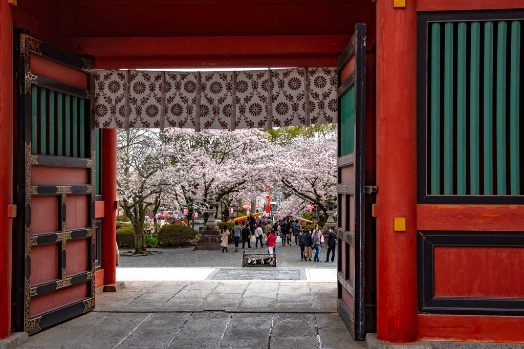 浅間神社参道