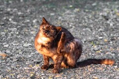 君が僕を知ってる