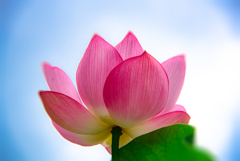 闇を照らしいるよ