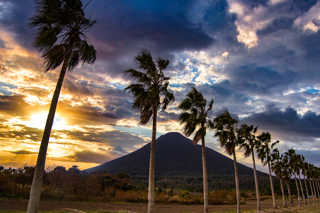 Tropical Road