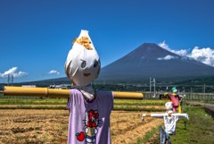 案山子の風景