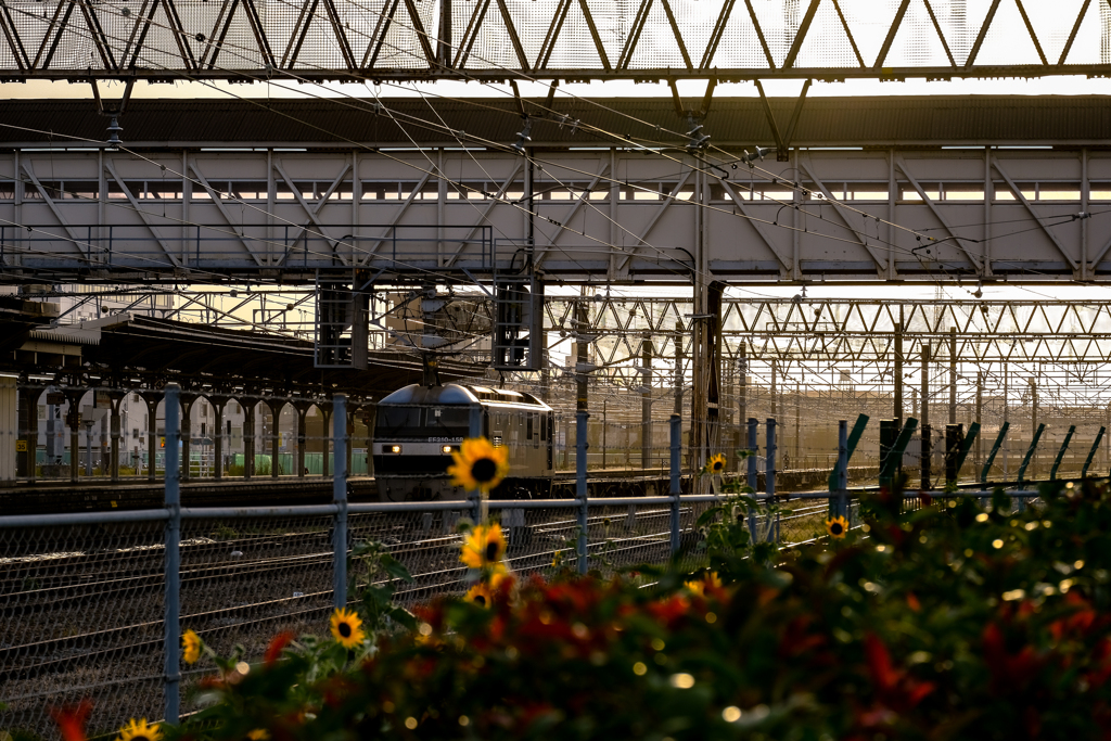 黄昏の駅