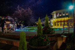 不思議の国のワンコ達