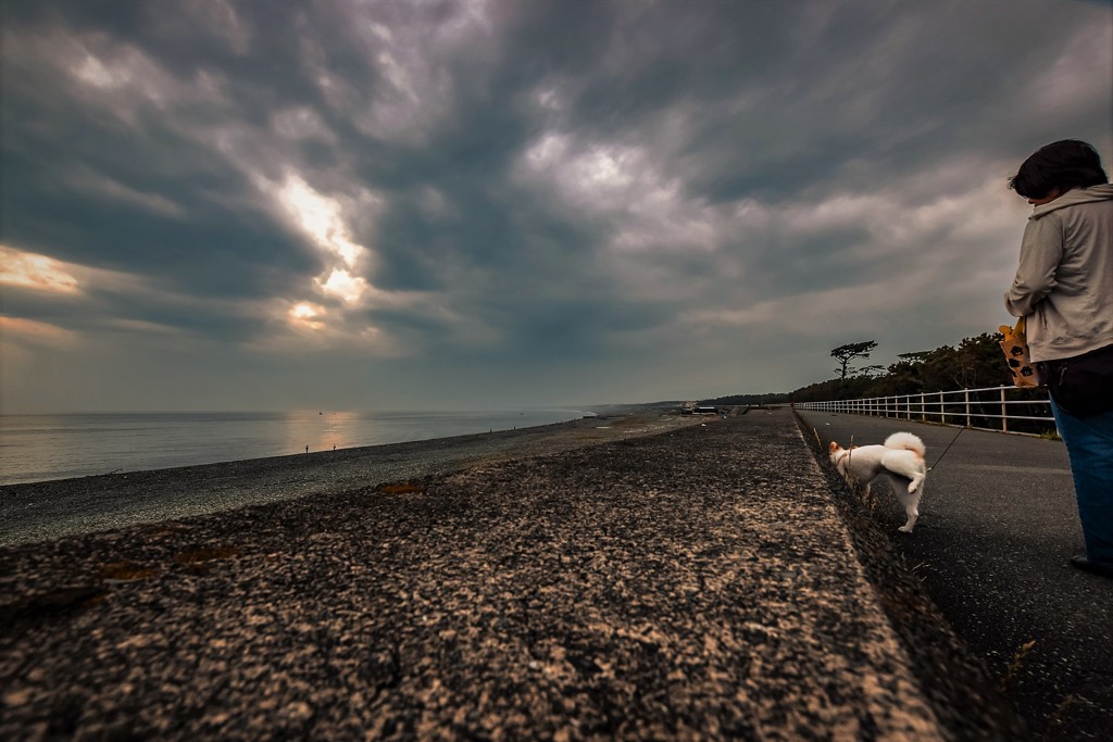 Dog-walking