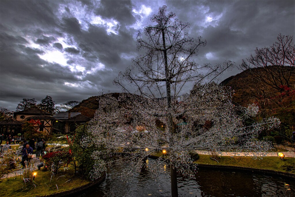 Bright Tree