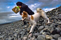 ４ＷＤの踏破力 