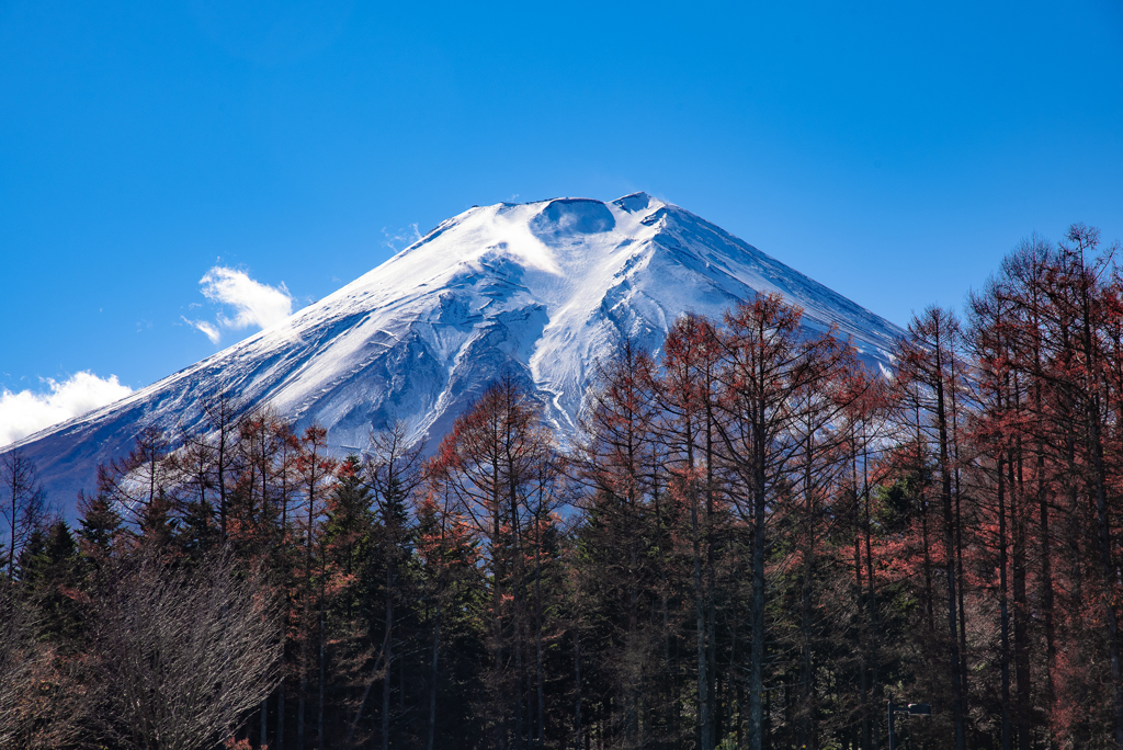 秋景