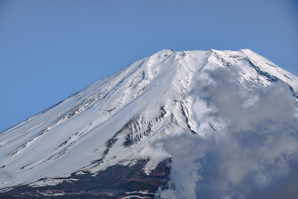 雪景