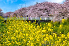 春の小川
