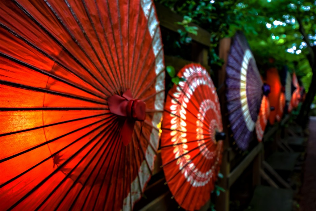 JAPANESE UMBRELLA