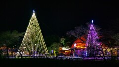 ひかりのすみか