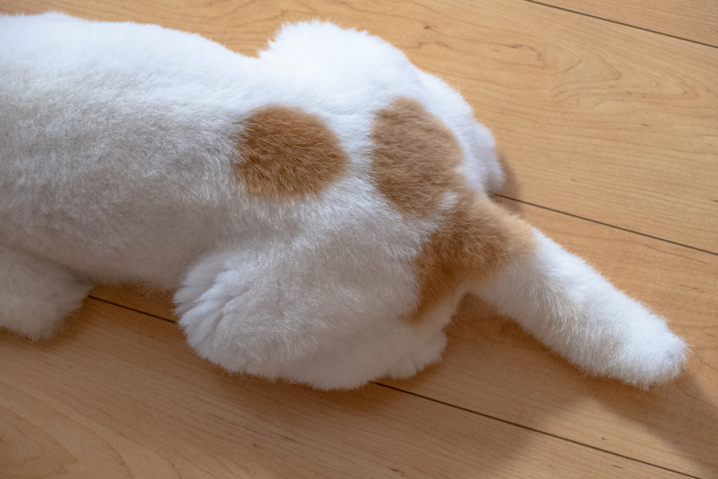 lovely tail