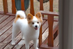 お外であそぼ