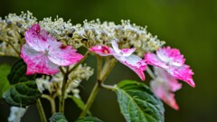雨季の終焉