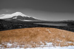 峠の風景
