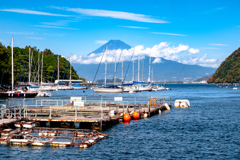 静浦の海