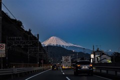由比ドライブ