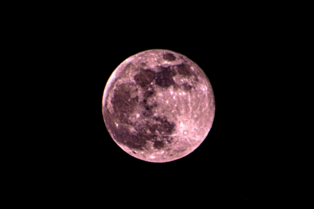 Pink Moon